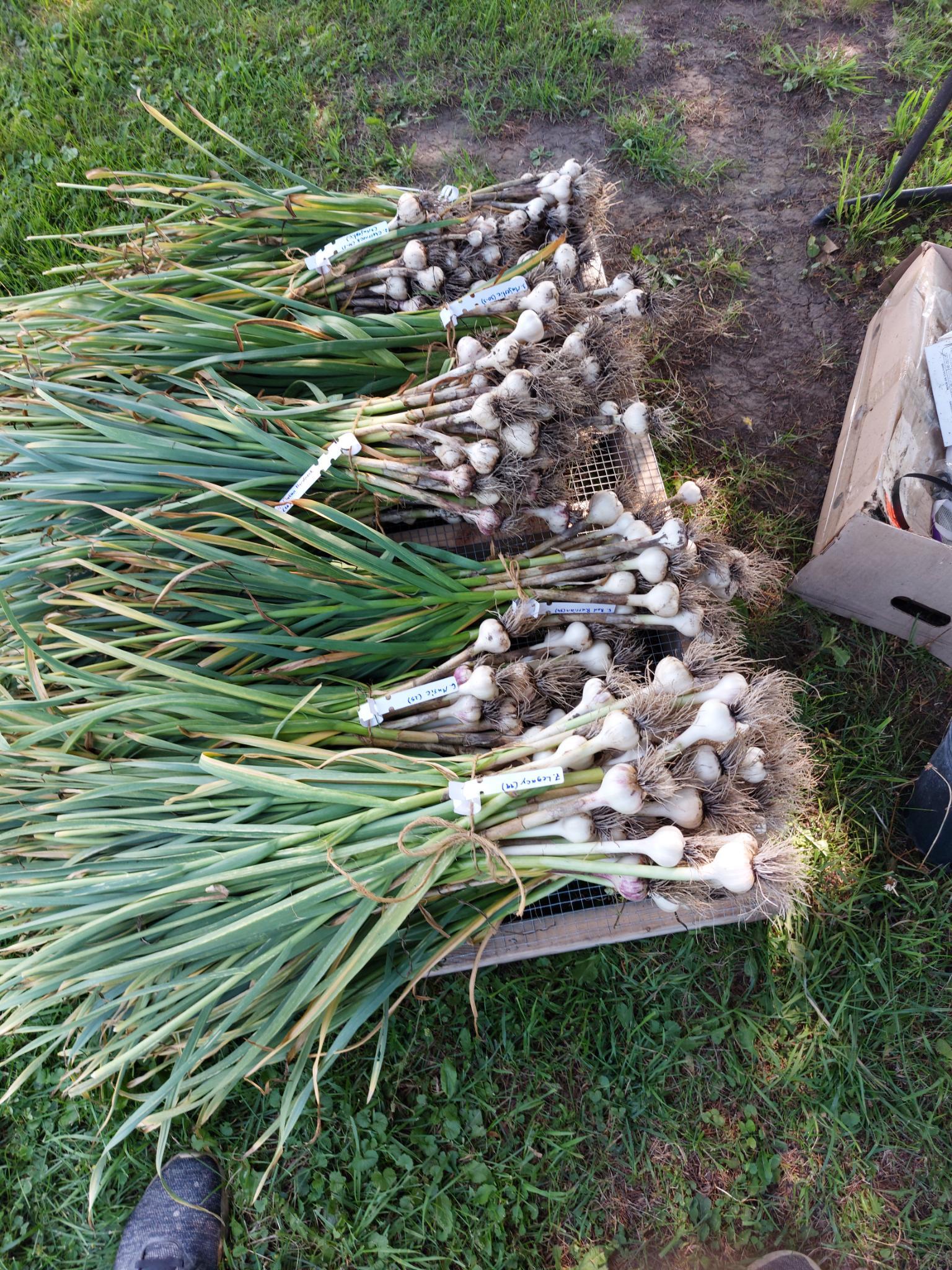 Signal 2023 07 24 223452 002 1