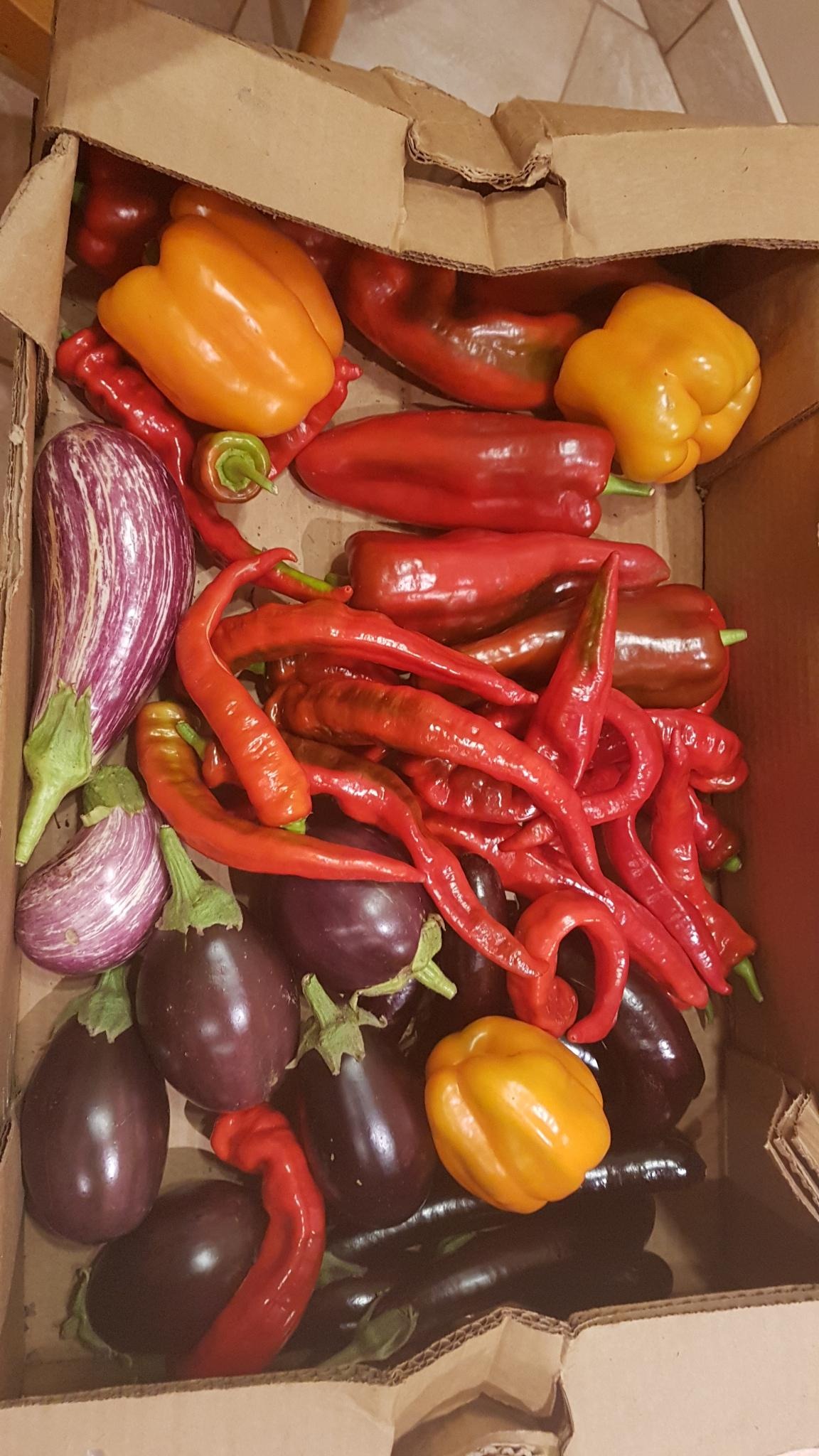 Signal 2023 08 30 195558 0021