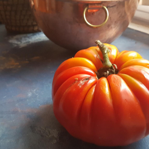 14 Week Subscription